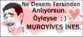 /album/resim-galerisi/a121514-seni-seviyorum-sozlerin-jpg/